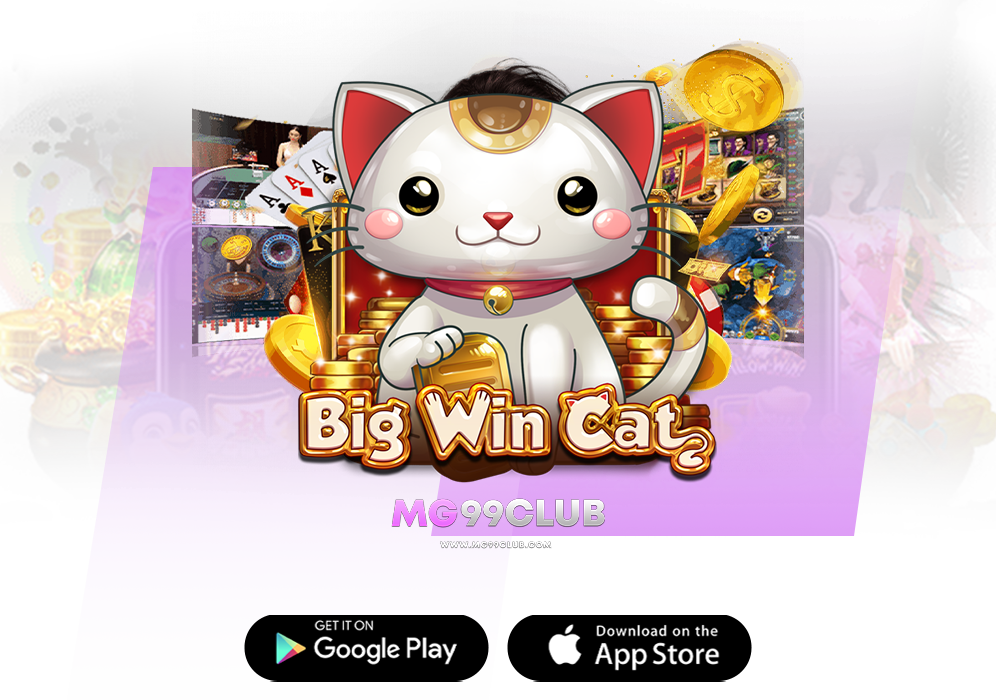 cat slot รวมเกมส์ให้คุณเดิมพันเหนือใคร